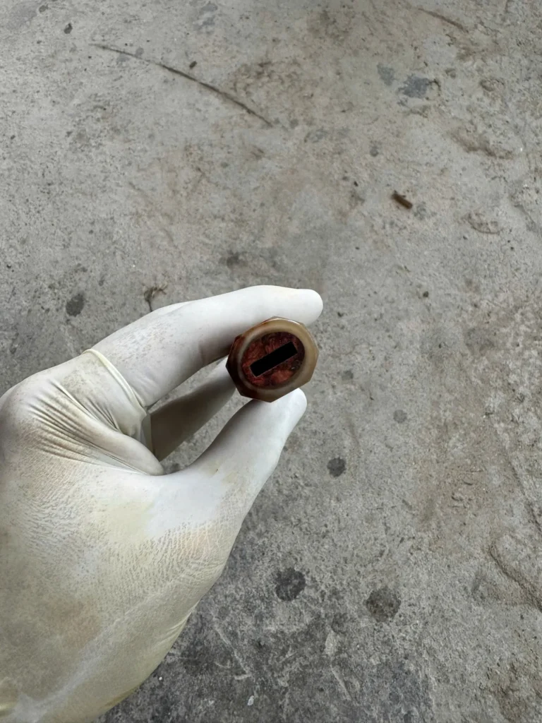 End-on view of an Amboyna burl handle socket, with an elongated dark opening inside a pale marbled horn front rim.