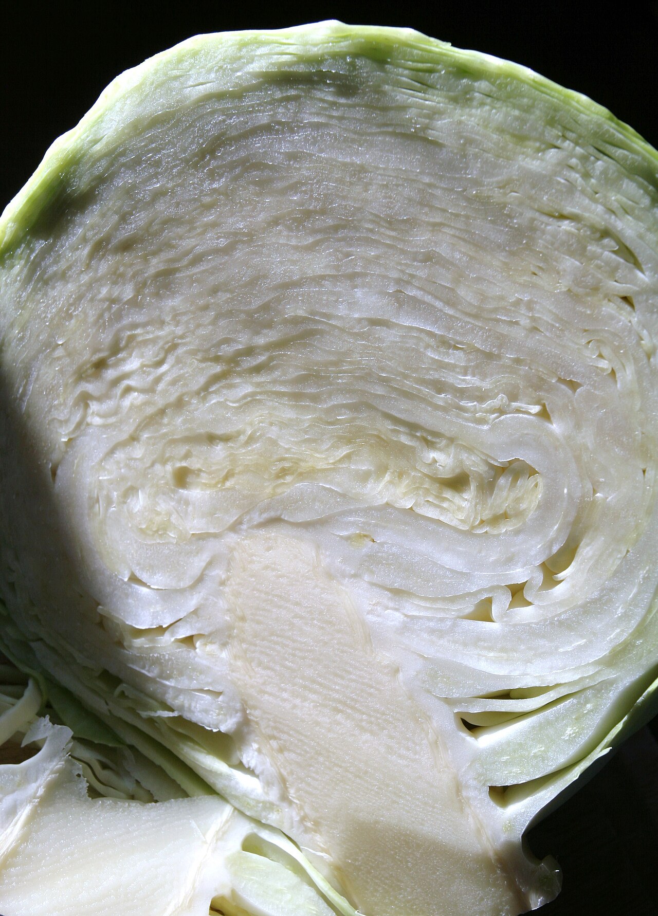 A halved white cabbage shows its dense central core and layered leaves.
