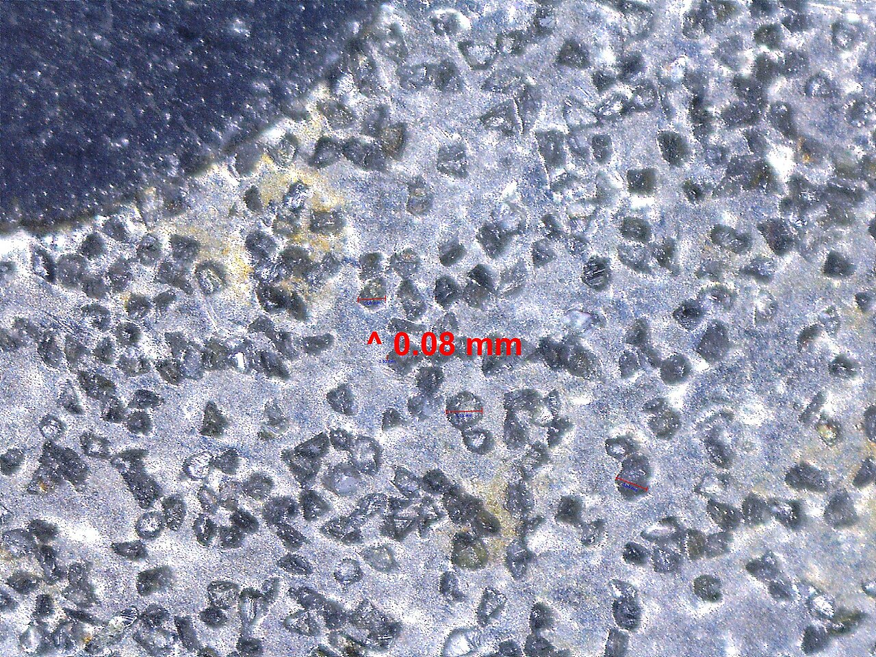 Microscope photograph of a diamond sharpening surface with abrasive particles and a labelled scale