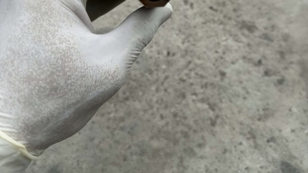 D-shape and faceted hybrid wa handle silhouettes viewed from the butt end