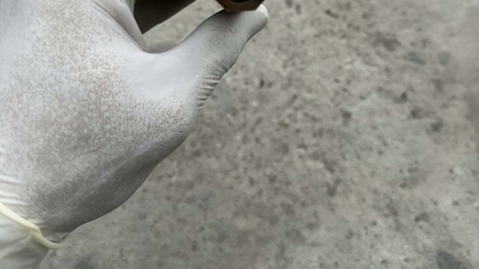 D-shape and faceted hybrid wa handle silhouettes viewed from the butt end