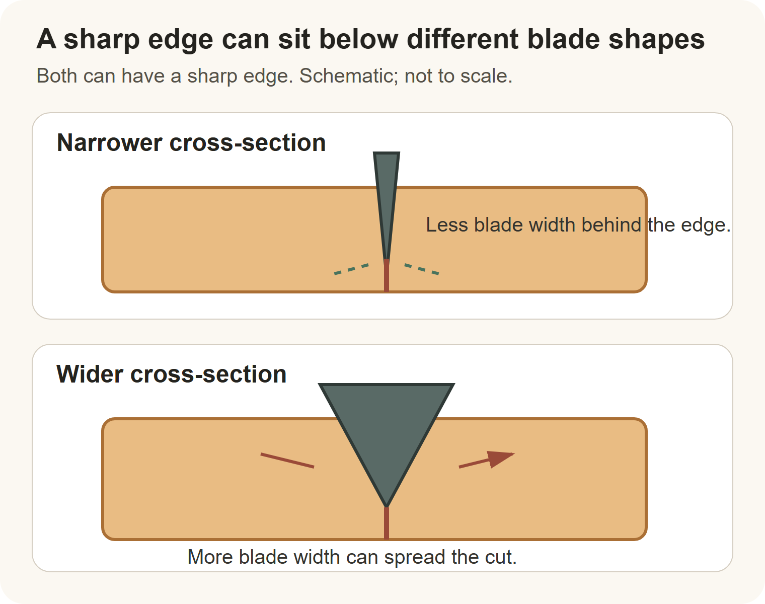 Two vegetable cross-sections compare narrower and wider blade shapes behind equally sharp edges.